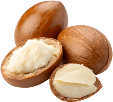 Shea Butter